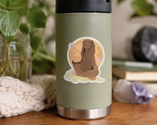 Meditating Bunny